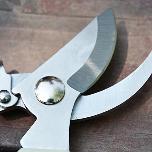 Kuber Industries All Purpose Plant Cutter|Pruner,Branch Trimmer,Shrub Cutter| Polished Iron Blade Garden Tools|Suitable for Small & Big Gardens|ZXQ-SC1006|Cream