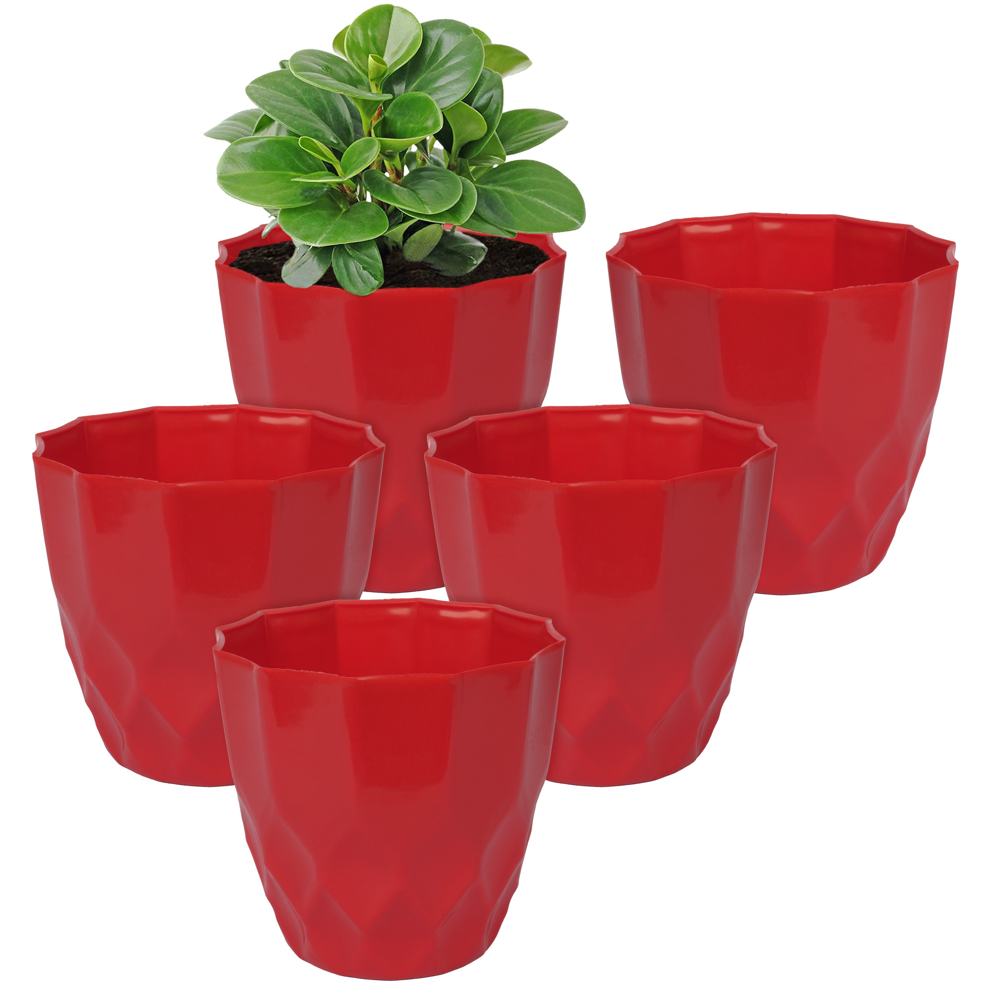 Kuber Industries Flower Pot | Flower Planter Pots for Indoor | Flower Pots for Outdoor | Pot for Garden & Balcony Flowering | Flower Plants Pot | Barfi Flower Pot | 6 Inch | Red