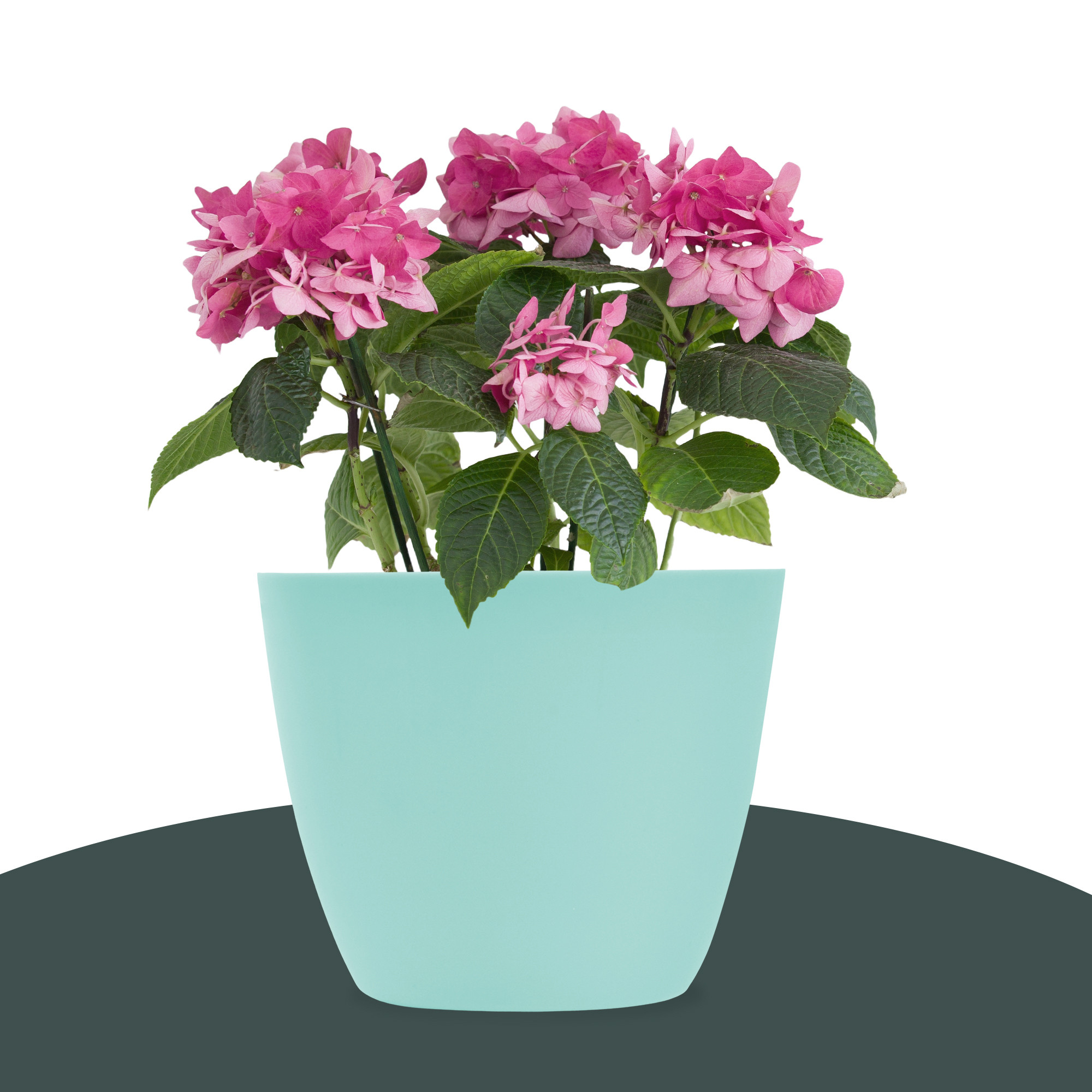 Kuber Industries Flower Pot | Flower Pot for Living Room-Office | Flower Planters for Home-office-Lawns & Garden Décor | Flower Planters Pots for Balcony | Plain Cool | 5 Inch | Sky Blue