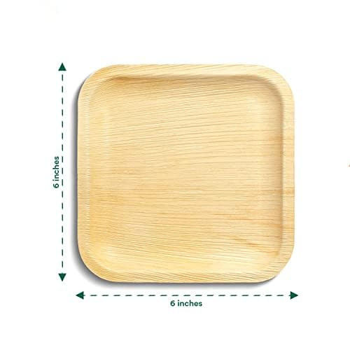 Kuber Industries-Palm Leaf Plate-Set of 25-6 