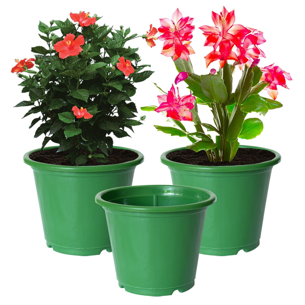 Kuber Industries Plastic Planters|Gamla|Flower Pots for Garden Nursery Home Décor,8&quot;x6&quot;,(Green)