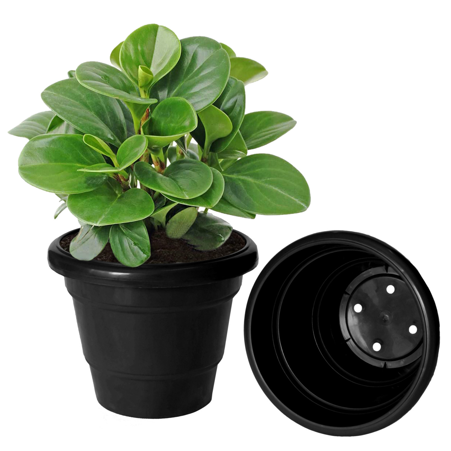 Kuber Industries Solid 2 Layered Plastic Flower Pot|Gamla For Home Decor,Nursery,Balcony,Garden,6