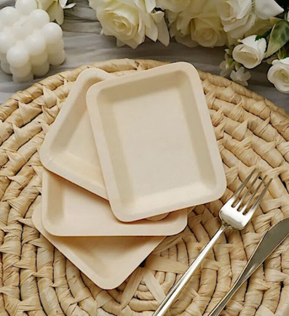 Disposal Plates