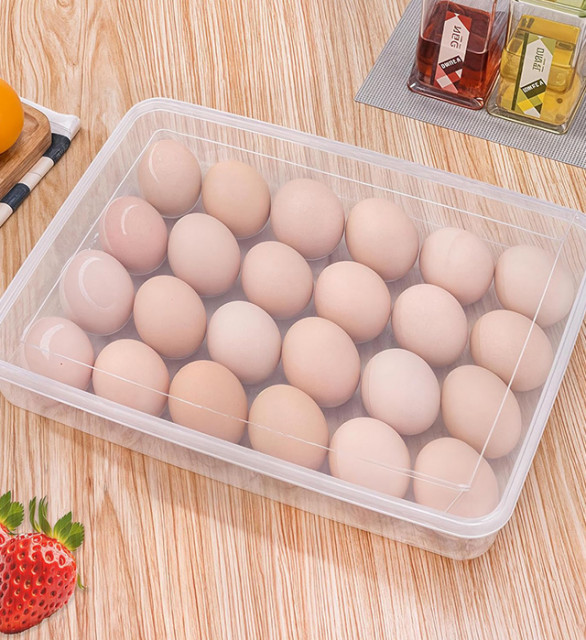 Egg Storage Box