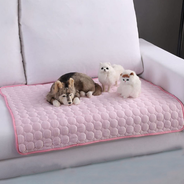 Pet Bed