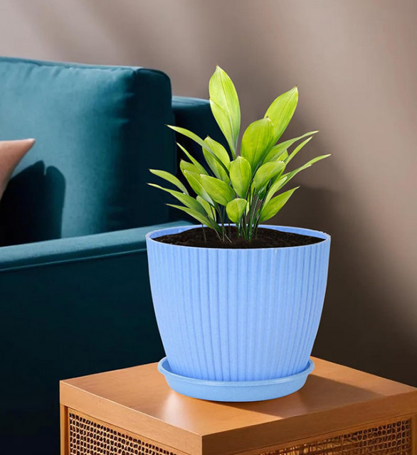 Pot And Planter