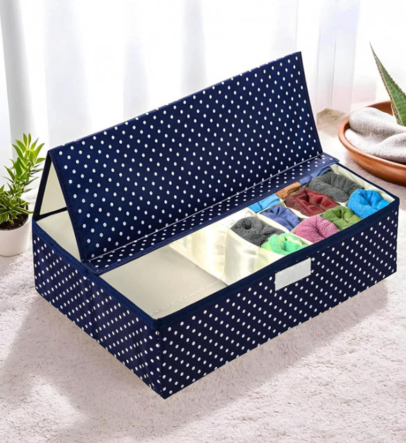 Undergarment Organizer