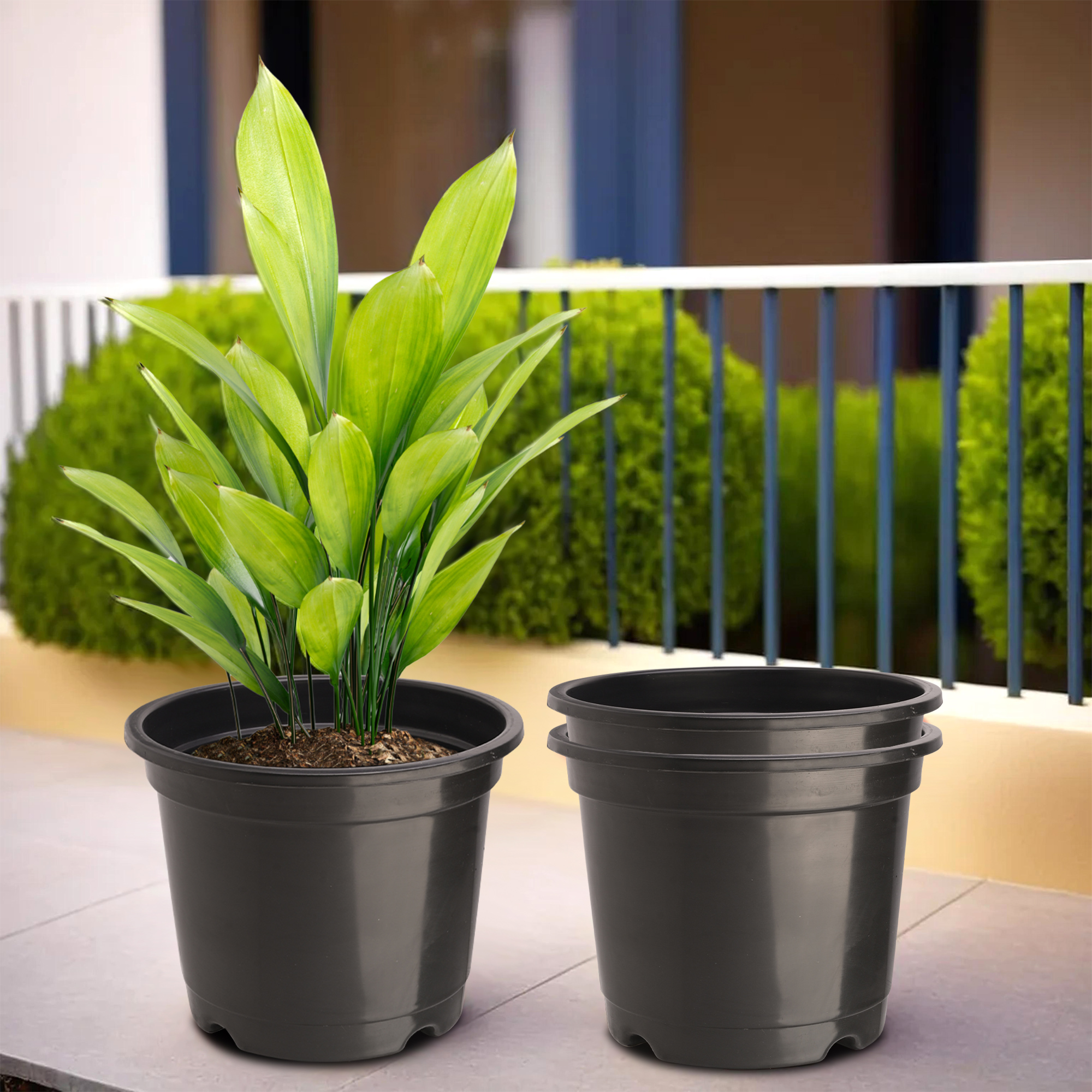 Kuber Industries Pack of 2 Flower Pot  Fuldani Flower Pot  8 Inch Pots for Home Terrace Garden  Pots Stand for Plants  Phooldaan for Home Dcor  Synergy Indoor Plant Stand  Black