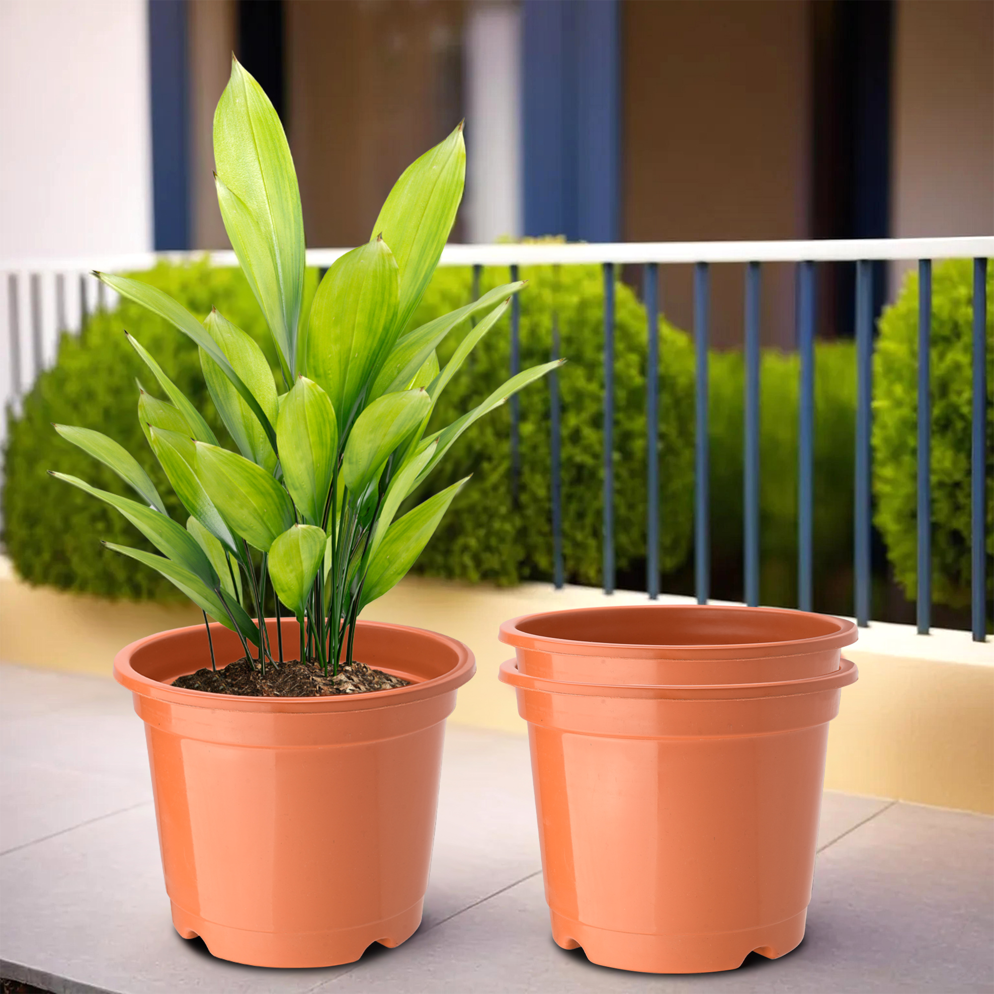 Kuber Industries Pack of 2 Flower Pot  Fuldani Flower Pot  8 Inch Pots for Home Terrace Garden  Pots Stand for Plants  Phooldaan for Home Dcor  Synergy Indoor Plant Stand  Orange