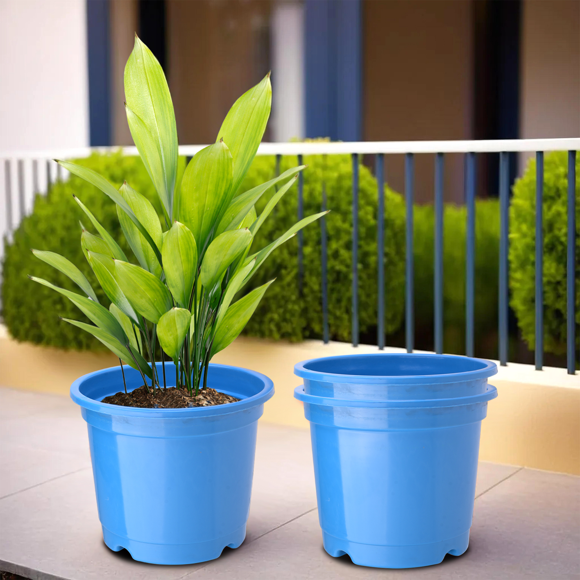 Kuber Industries Pack of 2 Flower Pot  Fuldani Flower Pot  8 Inch Phooldaan for Home Dcor  Pots for Home Terrace Garden  Pots Stand for Plants  Synergy Indoor Plant Stand  Blue