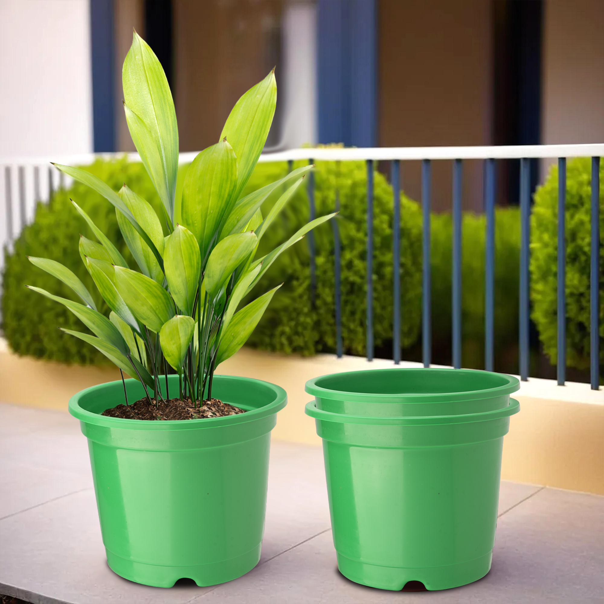 Kuber Industries Pack of 2 Flower Pot  Fuldani Flower Pot  8 Inch Pots for Home Terrace Garden  Pots Stand for Plants  Phooldaan for Home Dcor  Synergy Indoor Plant Stand  Green