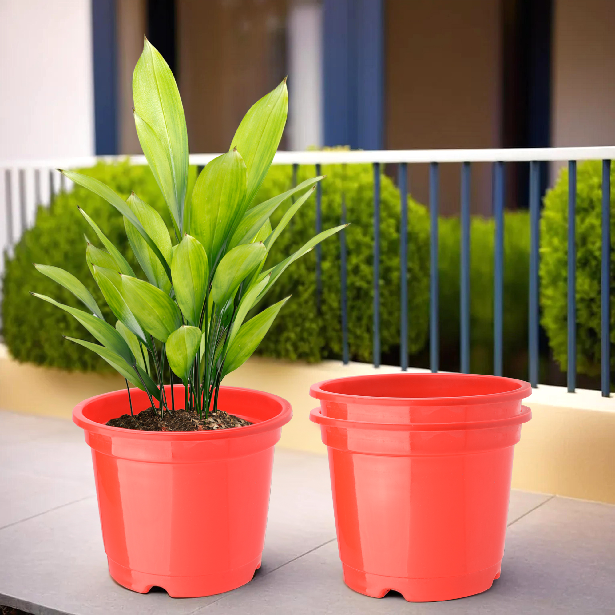 Kuber Industries Pack of 2 Flower Pot  Fuldani Flower Pot  8 Inch Phooldaan for Home Dcor  Pots for Home Terrace Garden  Pots Stand for Plants  Synergy Indoor Plant Stand  Red
