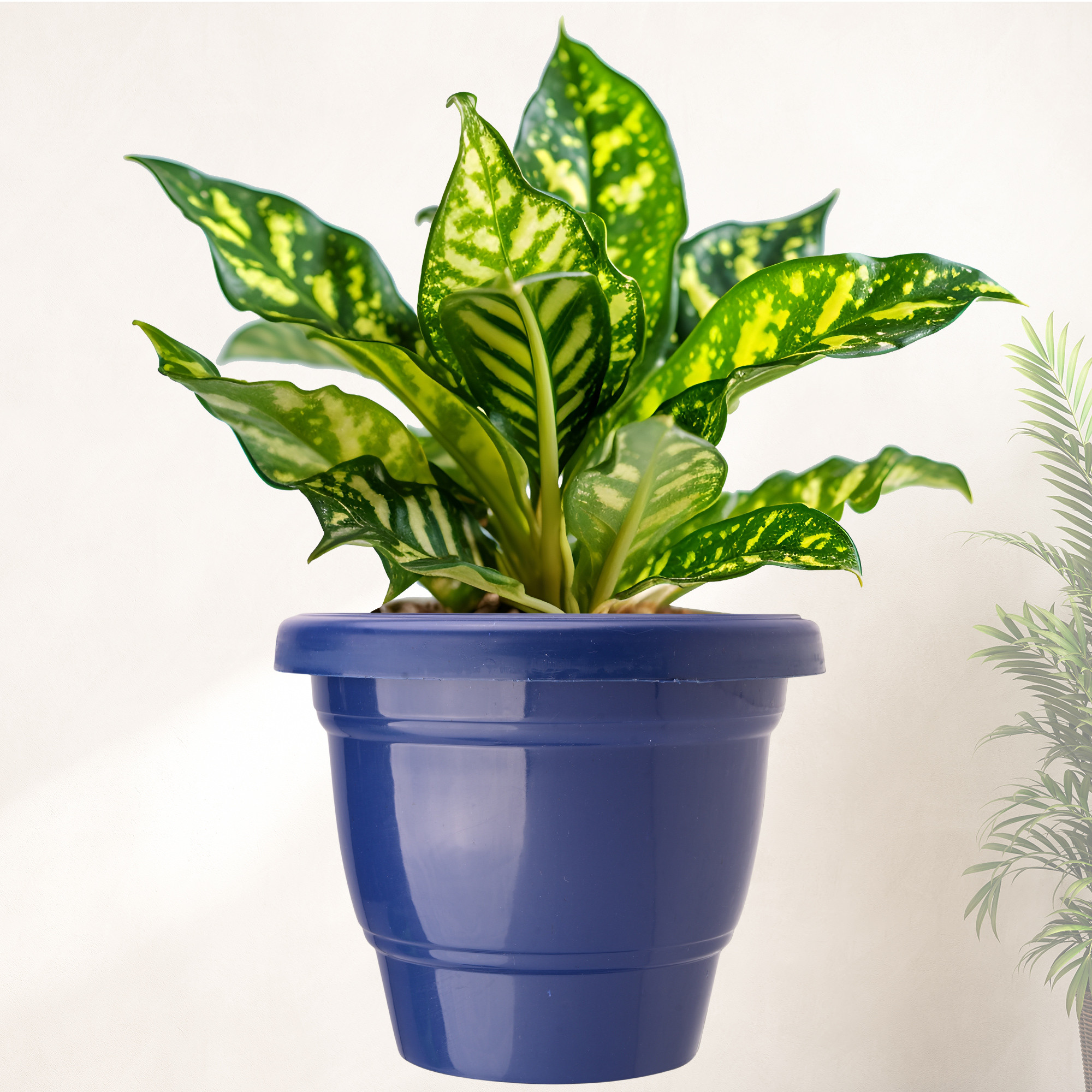 Kuber Industries  Flower Pot  2-Layer Fuldani Flower Pot   Phooldaan for Home Dcor  Pots for Terrace Garden  Pots Stand for Plants  Synergy Indoor Plant Stand  Blue