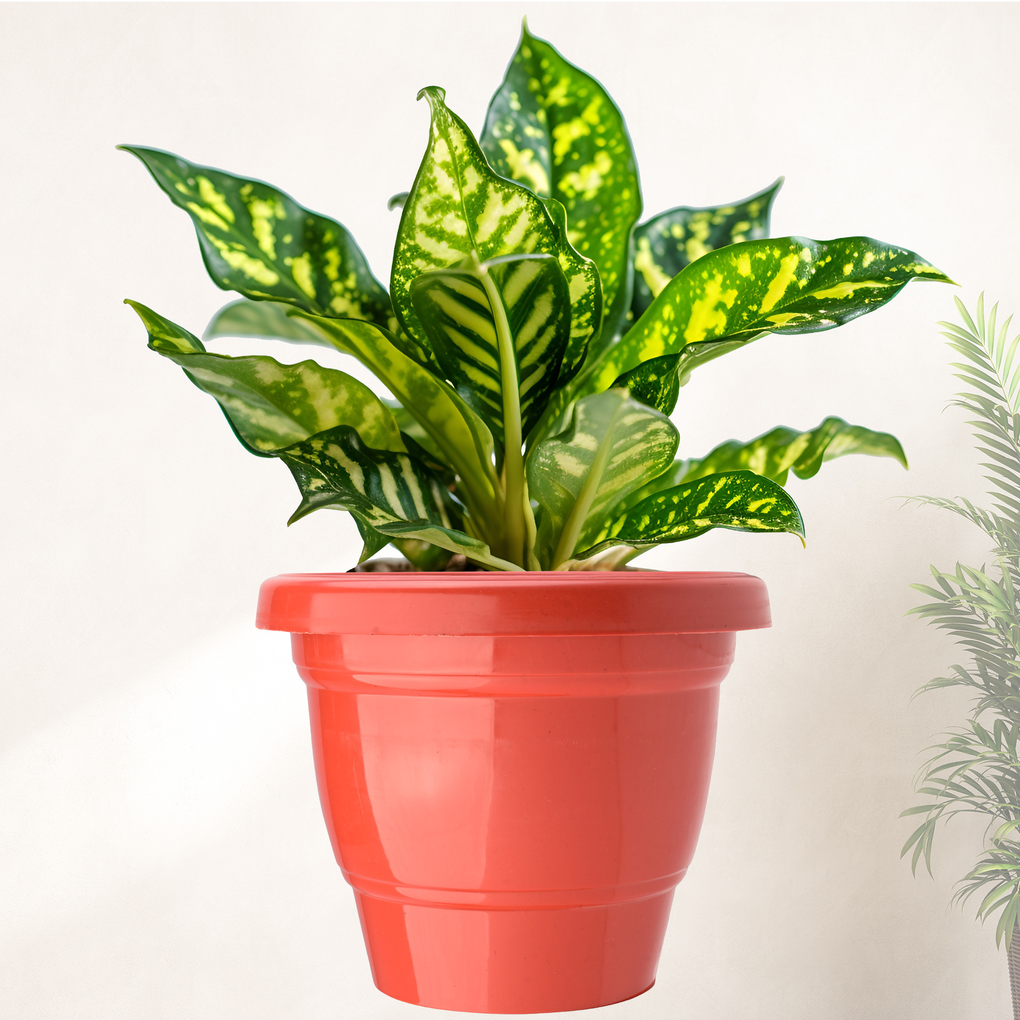 Kuber Industries  Flower Pot  2-Layer Fuldani Flower Pot   Phooldaan for Home Dcor  Pots for Terrace Garden  Pots Stand for Plants  Synergy Indoor Plant Stand  Red