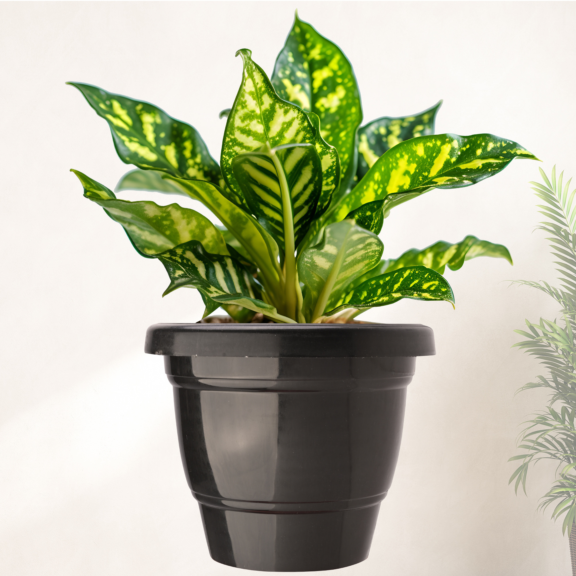 Kuber Industries  Flower Pot  2-Layer Fuldani Flower Pot  6 Inch Pots for Terrace Garden  Pots Stand for Plants  Phooldaan for Home Dcor  Synergy Indoor Plant Stand  Black