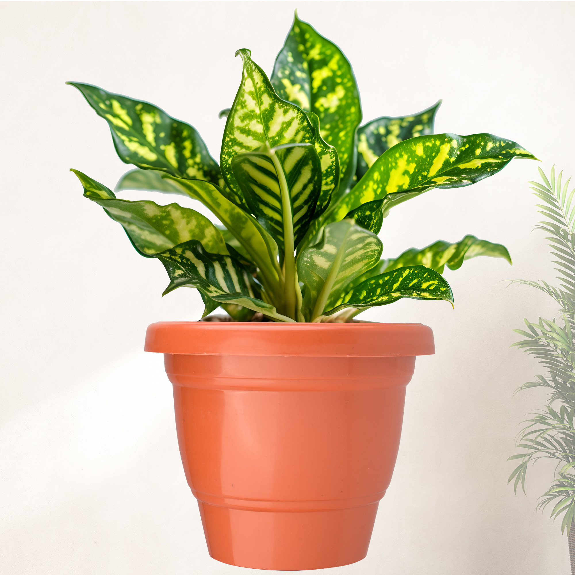 Kuber Industries  Flower Pot  2-Layer Fuldani Flower Pot  6 Inch Pots for Terrace Garden  Pots Stand for Plants  Phooldaan for Home Dcor  Synergy Indoor Plant Stand  Orange