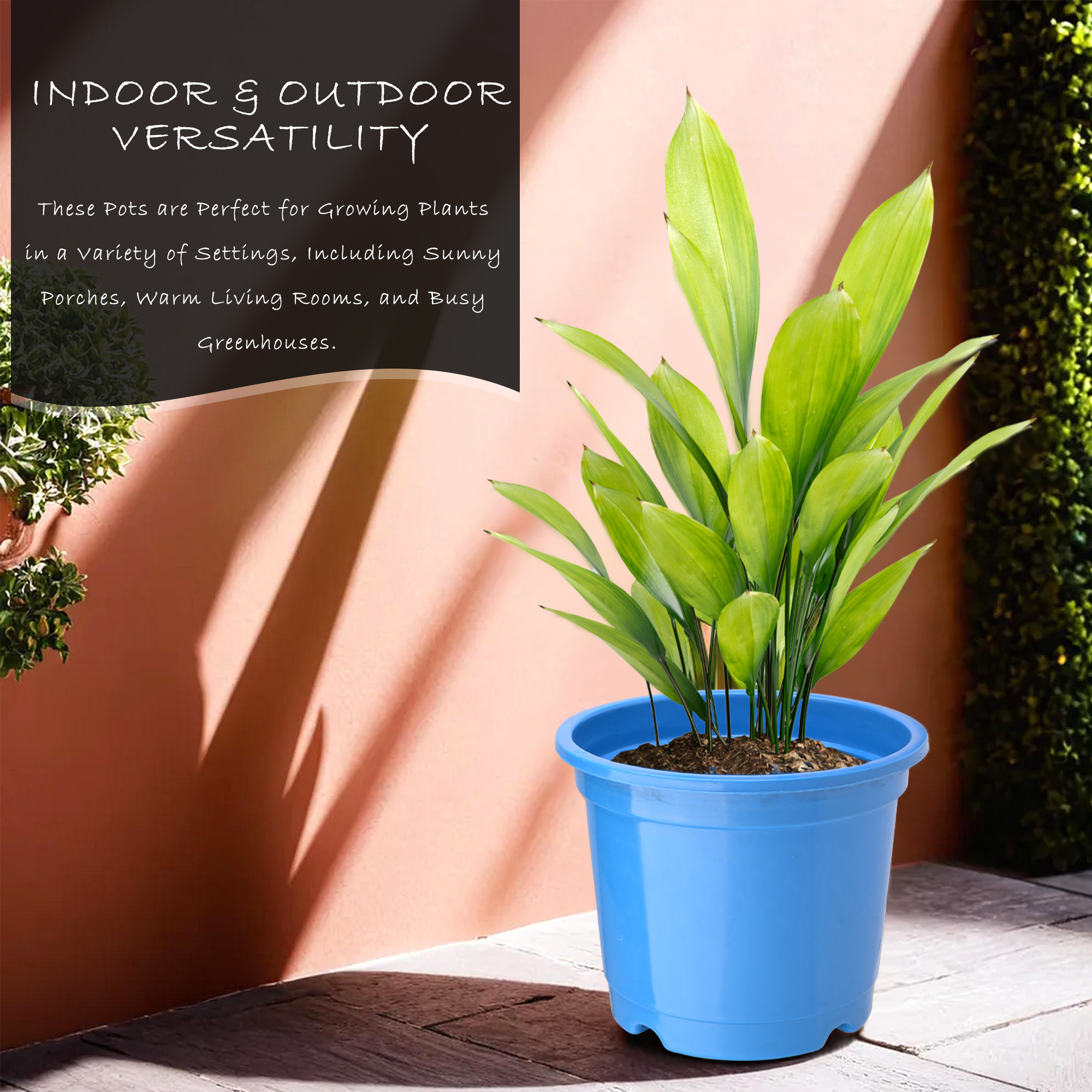 Kuber Industries  Flower Pot  Fuldani Flower Pot   Phooldaan for Home Dcor  Pots for Home Terrace Garden  Pots Stand for Plants  Synergy Indoor Plant Stand  Blue