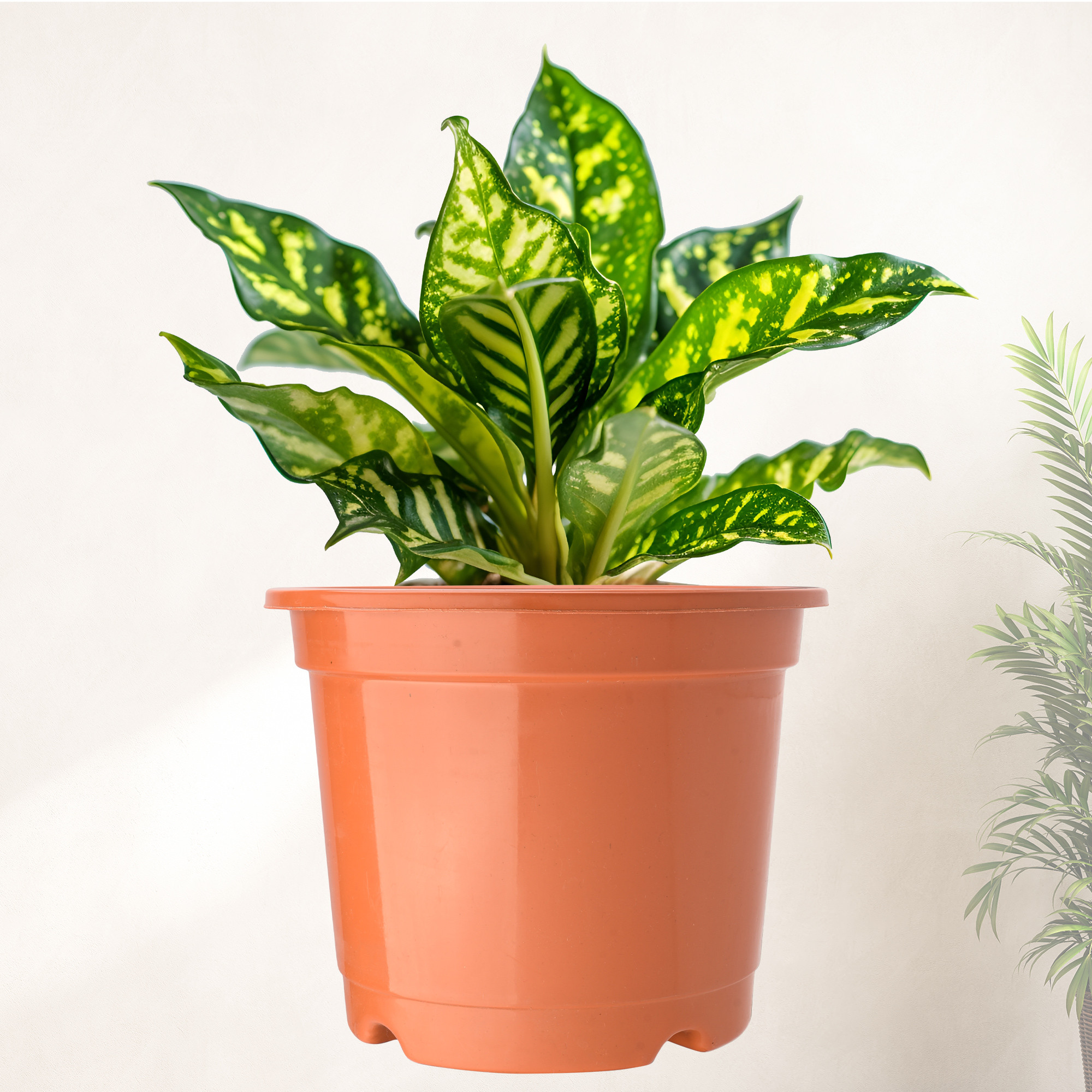 Kuber Industries  Flower Pot  Fuldani Flower Pot  6 Inch Pots for Home Terrace Garden  Pots Stand for Plants  Phooldaan for Home Dcor  Synergy Indoor Plant Stand  Orange