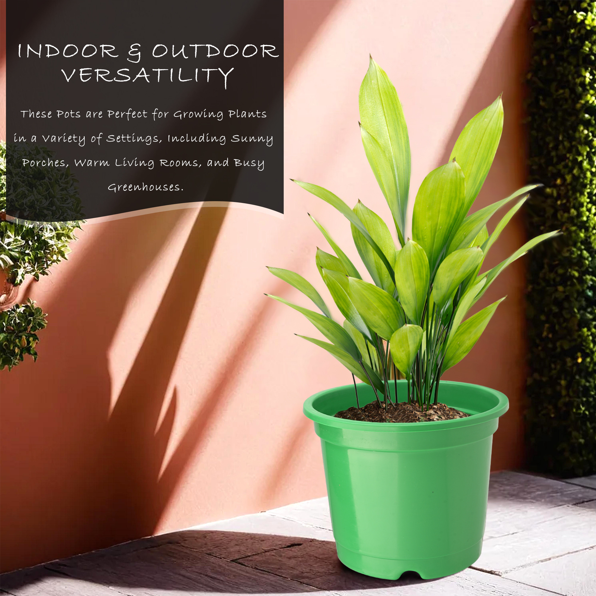 Kuber Industries  Flower Pot  Fuldani Flower Pot  6 Inch Pots for Home Terrace Garden  Pots Stand for Plants  Phooldaan for Home Dcor  Synergy Indoor Plant Stand  Green