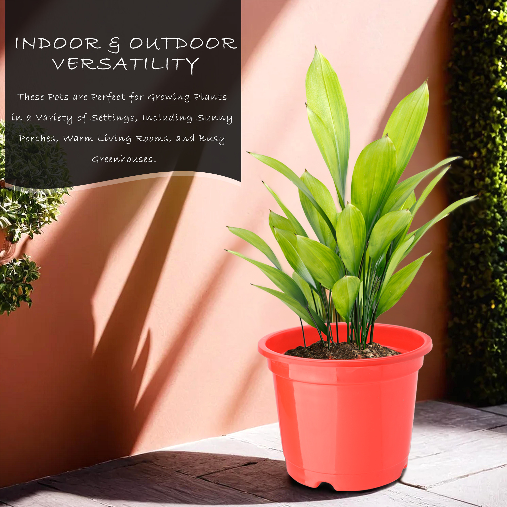 Kuber Industries  Flower Pot  Fuldani Flower Pot  6 Inch Pots for Home Terrace Garden  Pots Stand for Plants  Phooldaan for Home Dcor  Synergy Indoor Plant Stand  Red