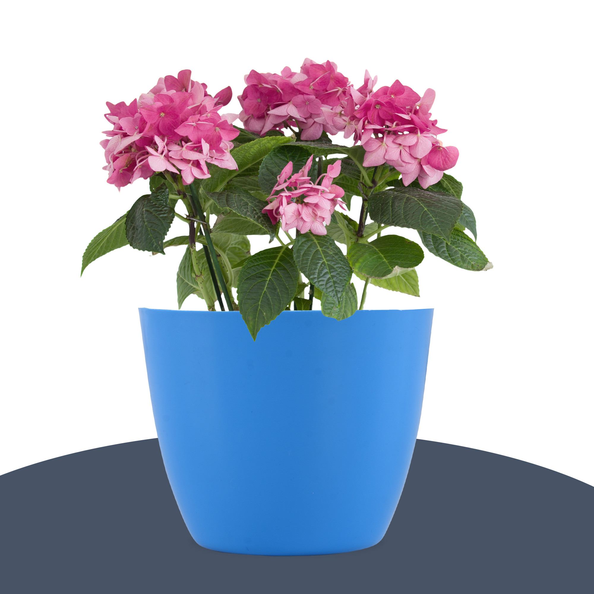 Kuber Industries  Flower Pot  Phooldaan for Terrace Garden  Fuldani for Home Dcor 5 Inch Plain Cool Indoor Plant Stand  Blue