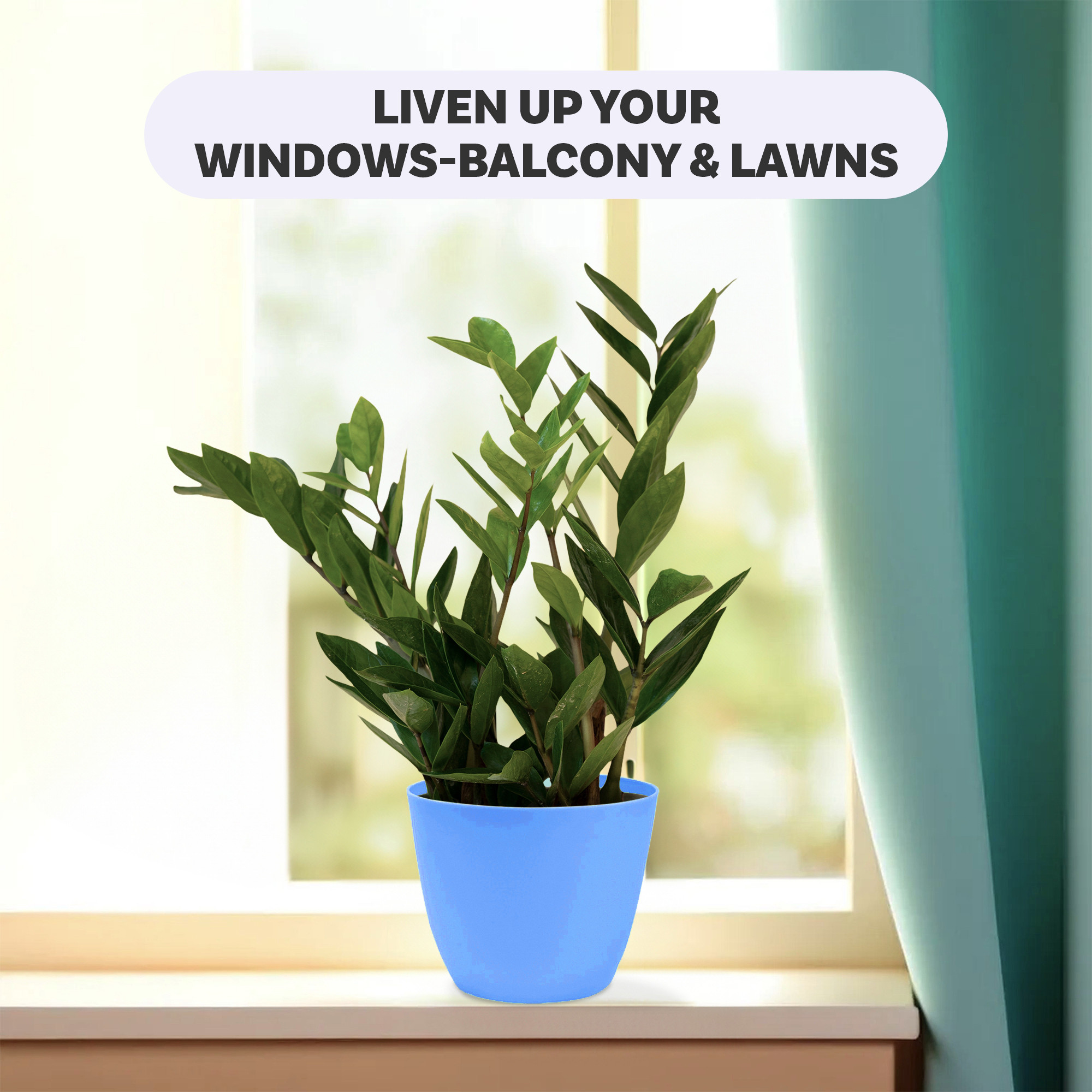 Kuber Industries  Flower Pot  Phooldaan for Terrace Garden  Fuldani for Home Dcor 5 Inch Plain Cool Indoor Plant Stand  Blue