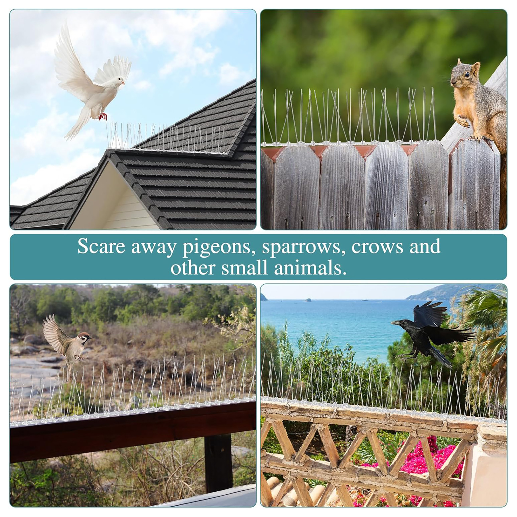 Kuber Industries  Transparent Bird Spikes For Pigeon Control  Plastic Weather Resistant Anti-Pigeon Spikes For ACWindow  Outdoor Balcony