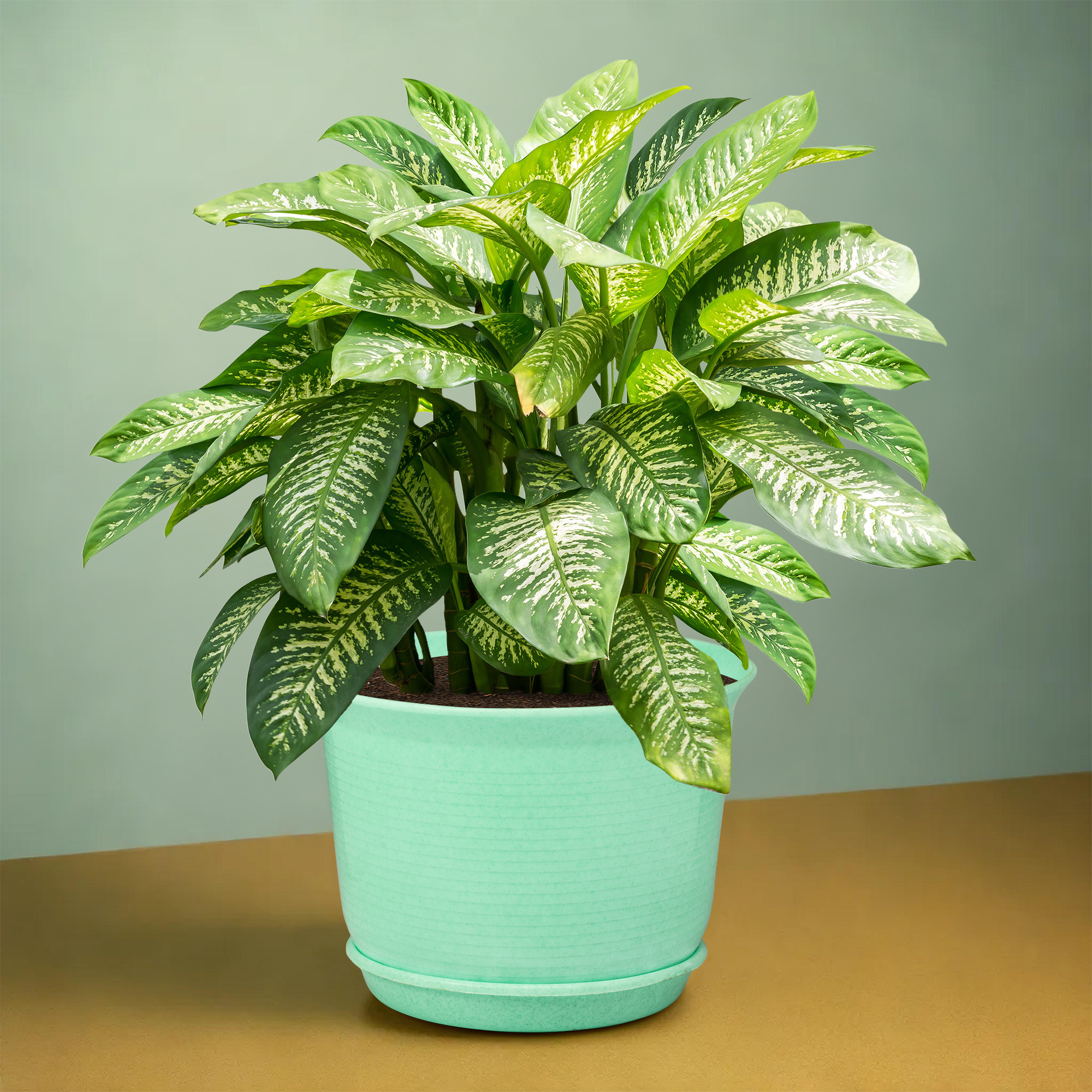 Kuber Industries 10 Inch Marble Sawera Design Flower Plant Pot with Plate for Home Kitchen  Garden  Stylish Pots for Plants Balcony  Ideal for Home Decor  Office Spaces  Green