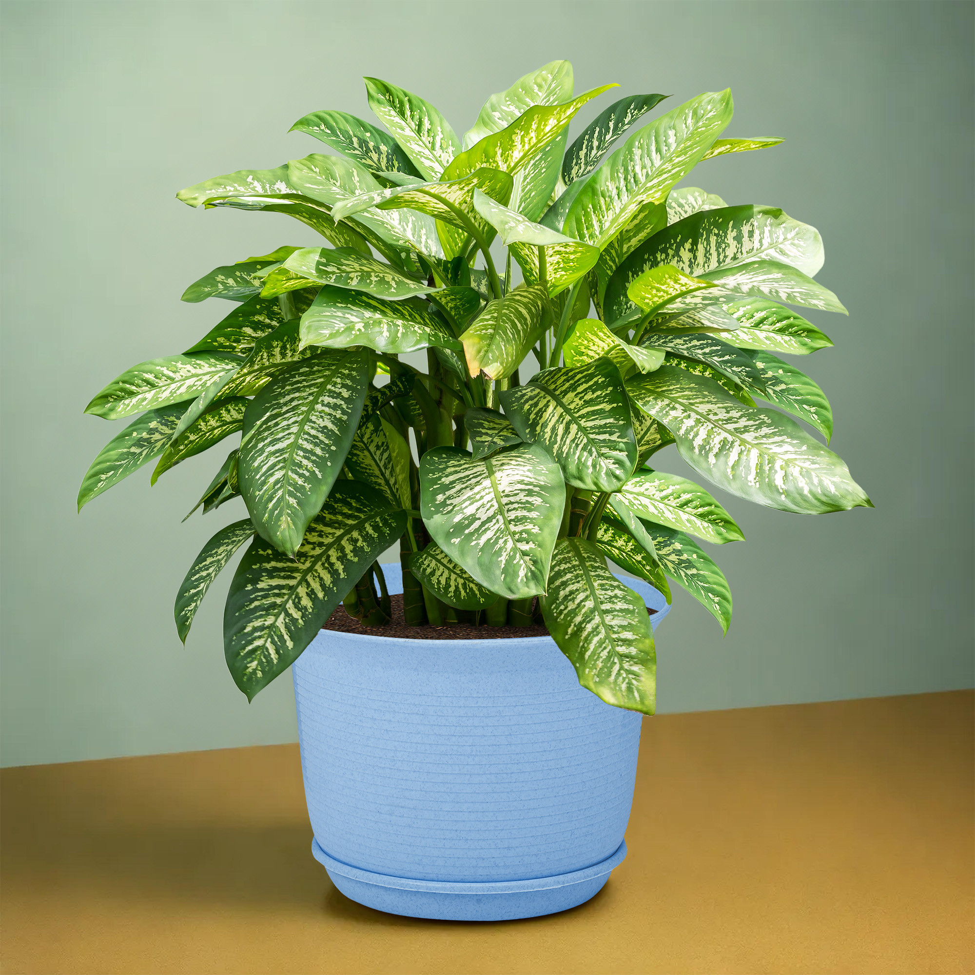 Kuber Industries 10 Inch Marble Sawera Design Flower Plant Pot with Plate for Home Kitchen  Garden  Stylish Pots for Plants Balcony  Ideal for Home Decor  Office Spaces  Blue