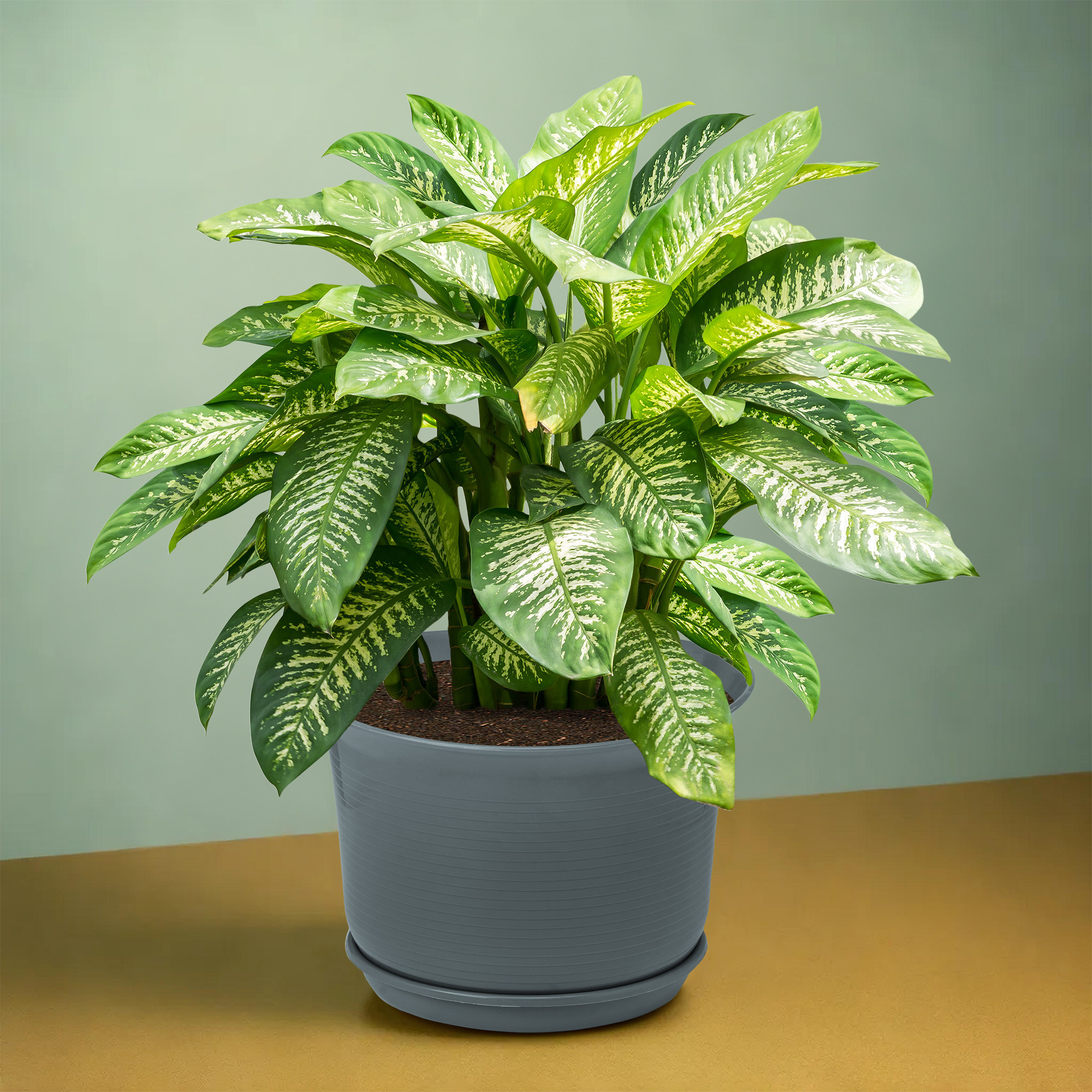 Kuber Industries 10 Inch Plain Sawera Design Flower Plant Pot with Plate for Home Kitchen  Garden  Stylish Pots for Plants Balcony  Ideal for Home Decor  Office Spaces  Grey