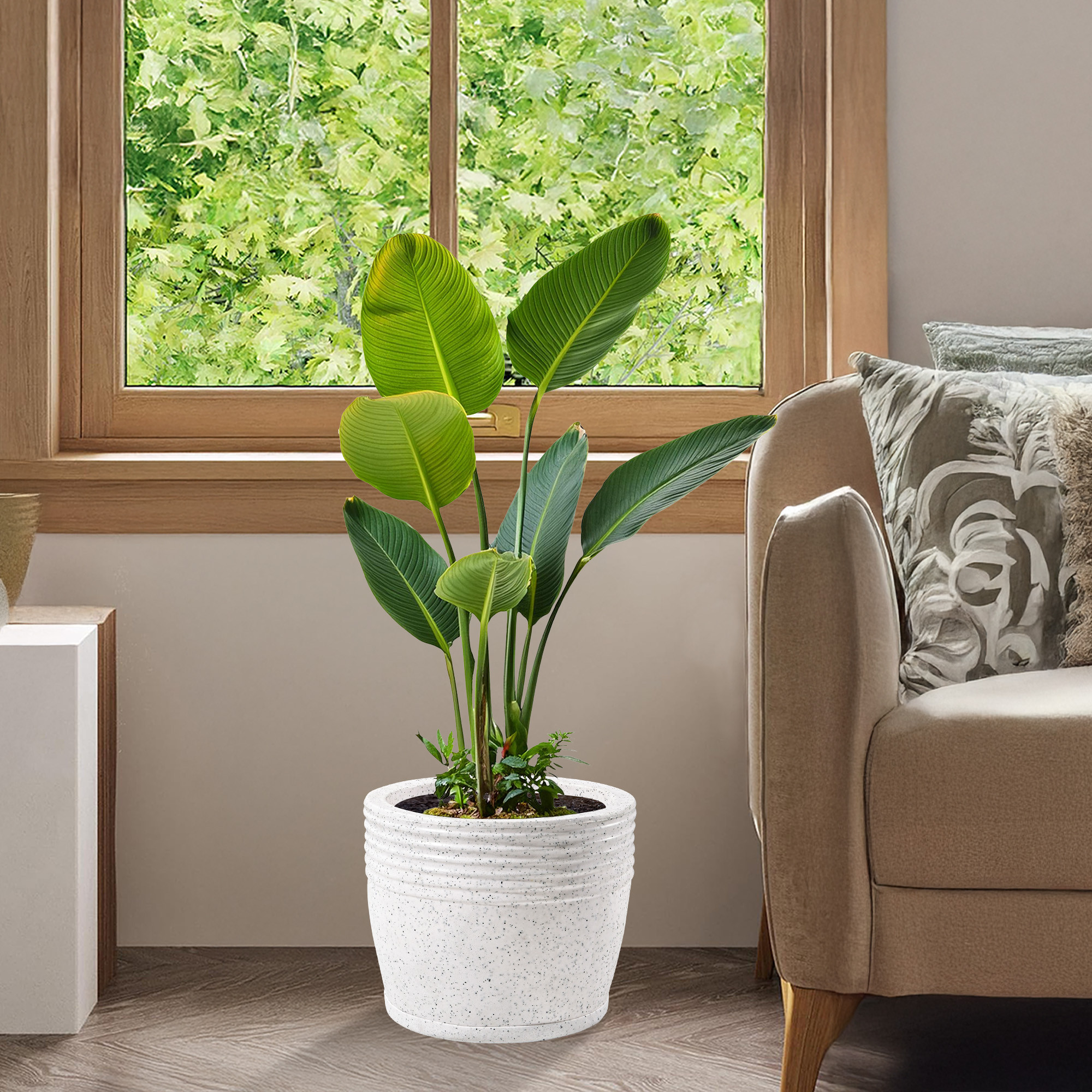 Kuber Industries 10-Inch Roto Mould German Polymer Big Size Flower Pot with Bottom Tray  IndoorOutdoor Tree Gamla Planter for Resorts Hotels Terrace  Garden  Marble Sunshine - White