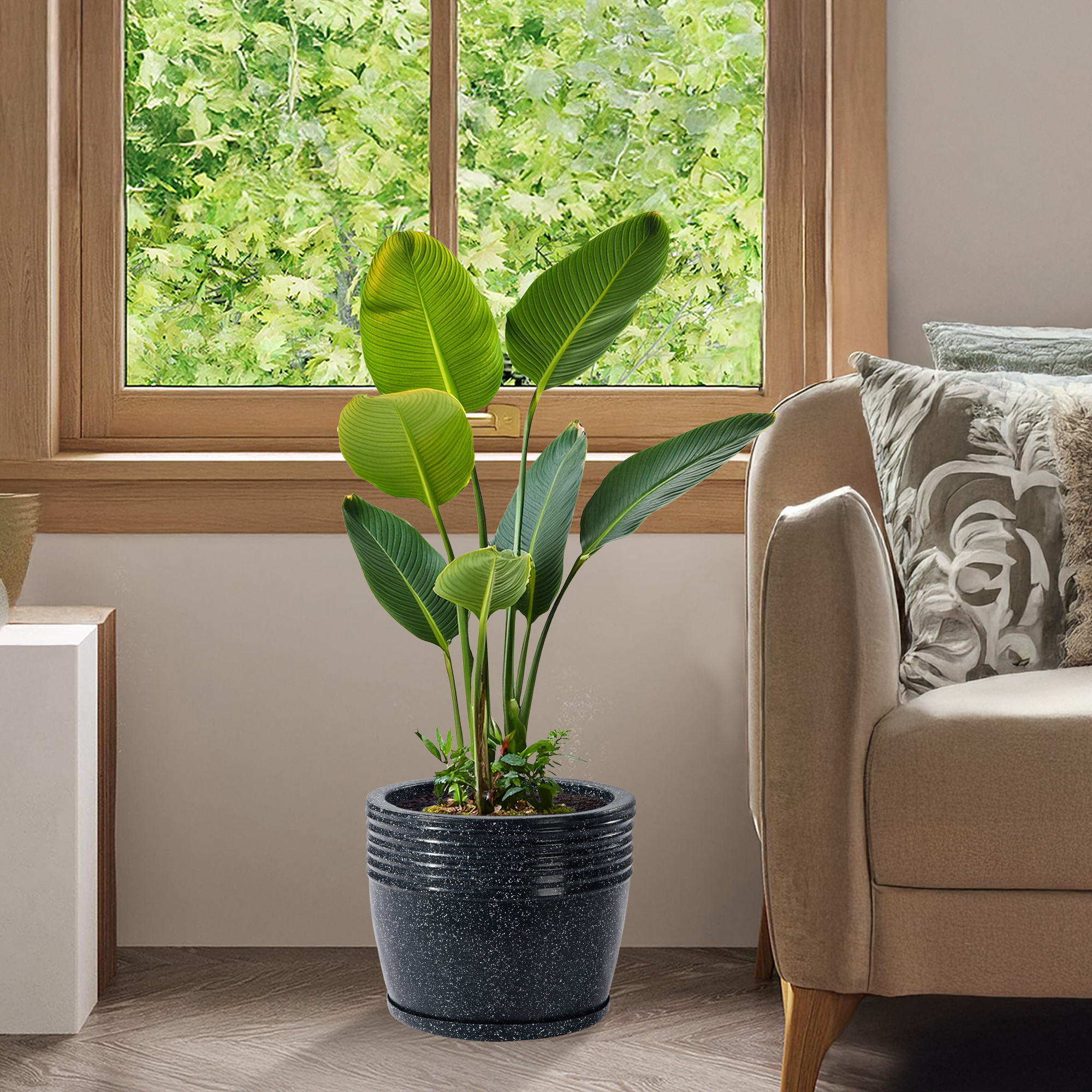 Kuber Industries 10-Inch Roto Mould German Polymer Big Size Flower Pot with Bottom Tray  IndoorOutdoor Tree Gamla Planter for Resorts Hotels Terrace  Garden  Marble Sunshine - Black