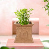 12 Inch Plastic Tulsi Mancha For Home | Modern Tulsi Gamla/Planter Pot for Home Decor, Balcony & Garden | Marble Design-Beige