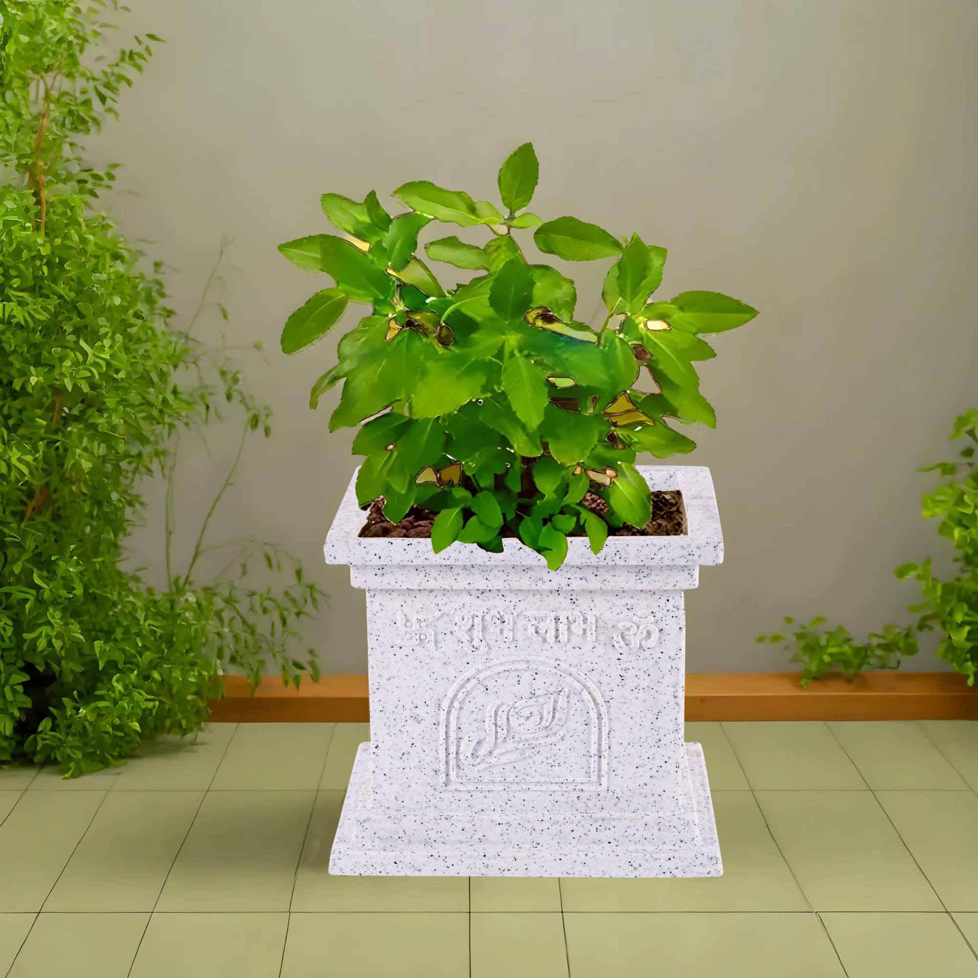 Kuber Industries 12 Inch Plastic Tulsi Mancha For Home  Tulsi GamlaPlanter Pot for Home Decor Balcony  Garden  Marble Design-White