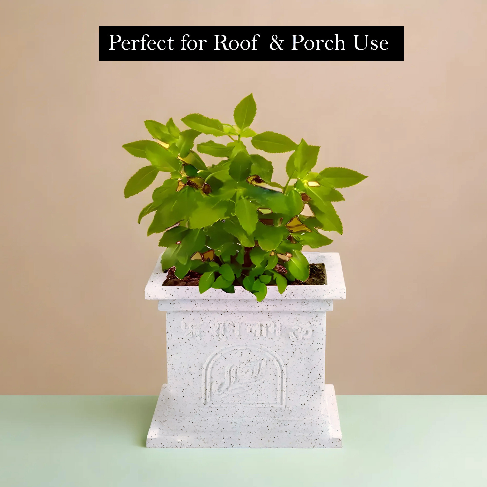 Kuber Industries 12 Inch Plastic Tulsi Mancha For Home  Tulsi GamlaPlanter Pot for Home Decor Balcony  Garden  Marble Design-White