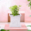 12 Inch Plastic Tulsi Mancha For Home | Tulsi Gamla/Planter Pot for Home Decor, Balcony &amp; Garden | Marble Design-White