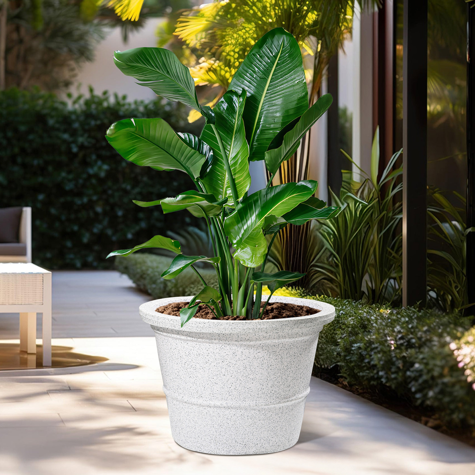 httpsfkmpimagesflixcartcomiu-pre-catalog-images-feed1737097517814-008b69f04c9b4d4d-A59B9E634AAE6CBC1303C34339B4727D