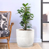 19-Inch Roto Mould German Polymer Extra Large Big Size Flower Pot | Indoor/Outdoor Tree Gamla Planter for Living Room, Resorts, Hotels, Terrace & Garden | Marble Sunshine - White