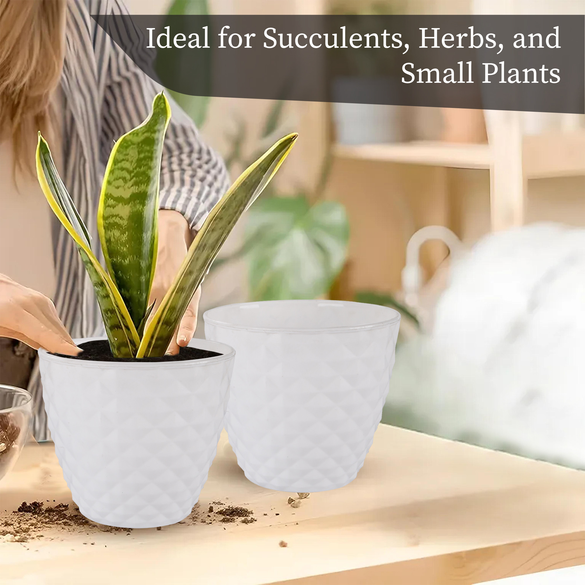 Kuber Industries 2 Pcs Flower Pots for Garden  Planters for Home Decor  6 Inch Gamla  Gardening Pots for Balcony  Indoor  Plant Pot for Living Room  Diamond Pattern - White