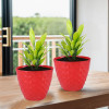 2 Pcs Flower Pots for Garden &amp; Planters for Home Decor | 6 Inch Gamla / Gardening Pots for Balcony &amp; Indoor | Plant Pot for Living Room | Diamond Pattern - Red