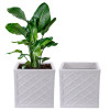 2 Pcs Roto Mould 14 Inch Pots for Plants Balcony and Living Room with Wheels | Flower Pots for Garden | Planters for Home Decor, Outdoor Indoor Plants | Jaguar Maxico | White Fresh