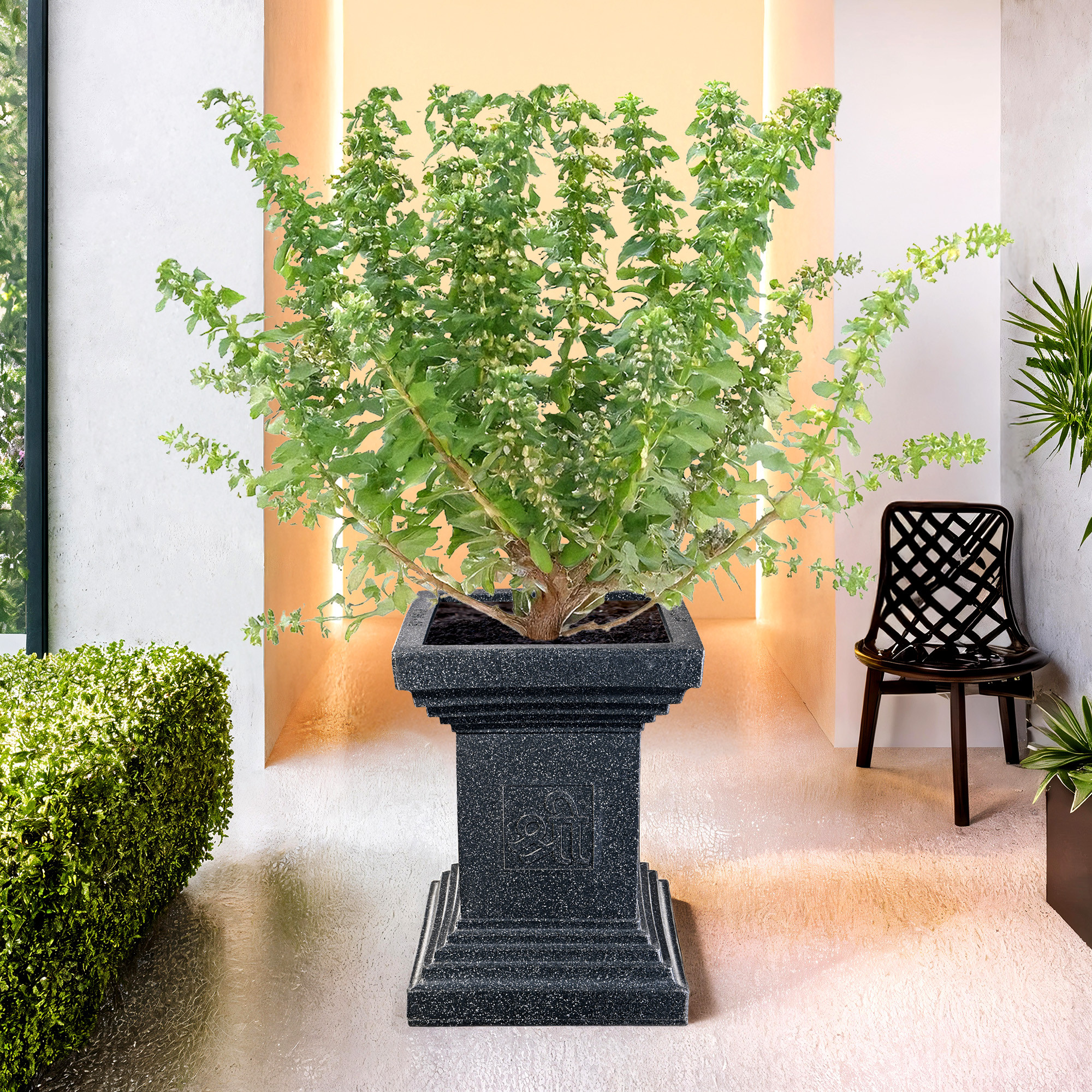 Kuber Industries 22-Inch Roto Mould German Polymer Extra Large Big Size Tulsi Flower Pot  IndoorOutdoor Tree Gamla Planter for Living Room Resorts Hotels Terrace  Garden  Marble Tulsi - Black