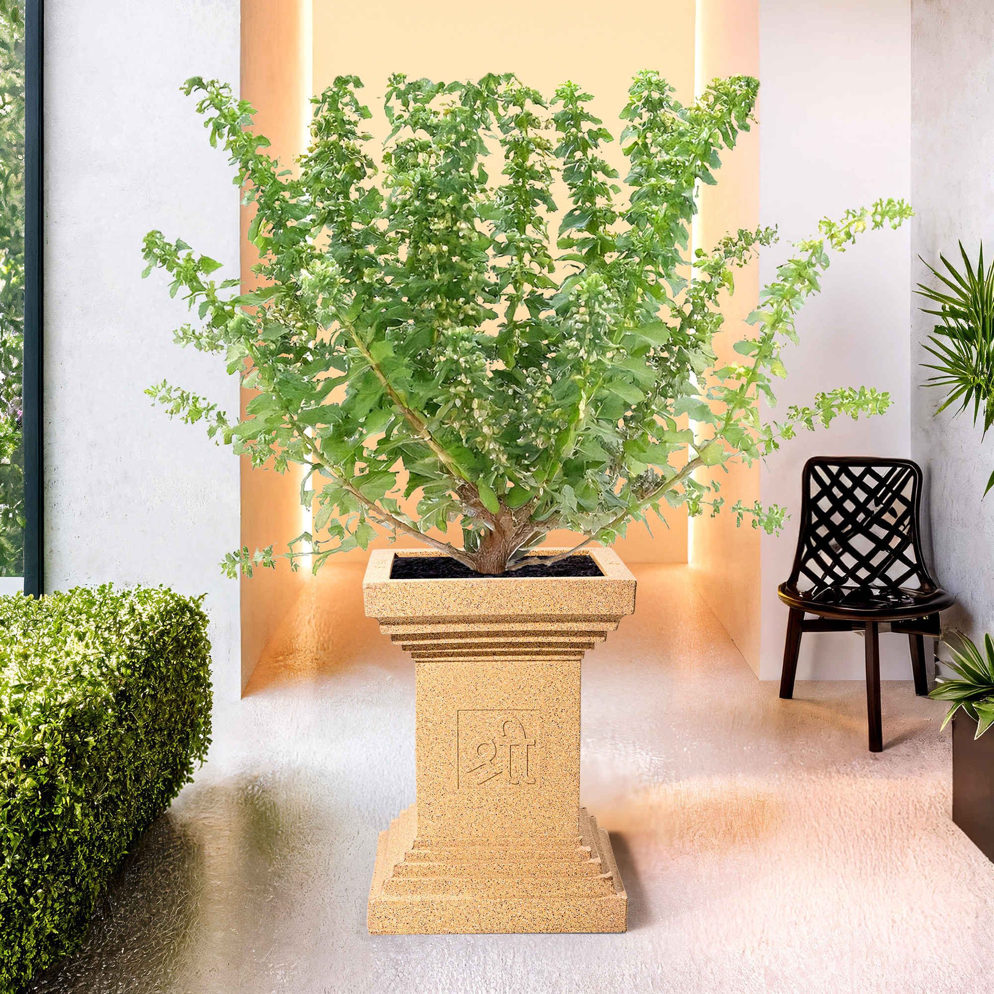 Kuber Industries 22-Inch Roto Mould German Polymer Extra Large Big Size Tulsi Flower Pot  IndoorOutdoor Tree Gamla Planter for Living Room Resorts Hotels Terrace  Garden  Marble Tulsi - Sand