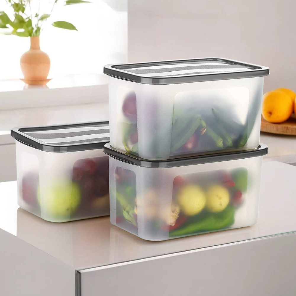 Image of 3 Pcs Fridge Organizers Storage Box Set | Vegetable Box for Coriander & Kitchen Food Storage | Plastic Freezer Containers | Black