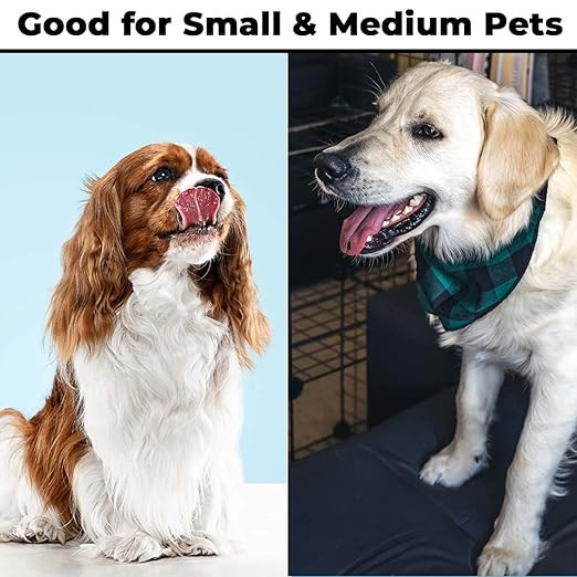 Kuber Industries Animal Feeding Plastic 2 in 1 Pet Bowls | Cat & Dog Bowl | Small/Medium Size Pet Feeding Bowl | Non-Toxic & 100% Safe for Pets (Pack of 1) | Blue