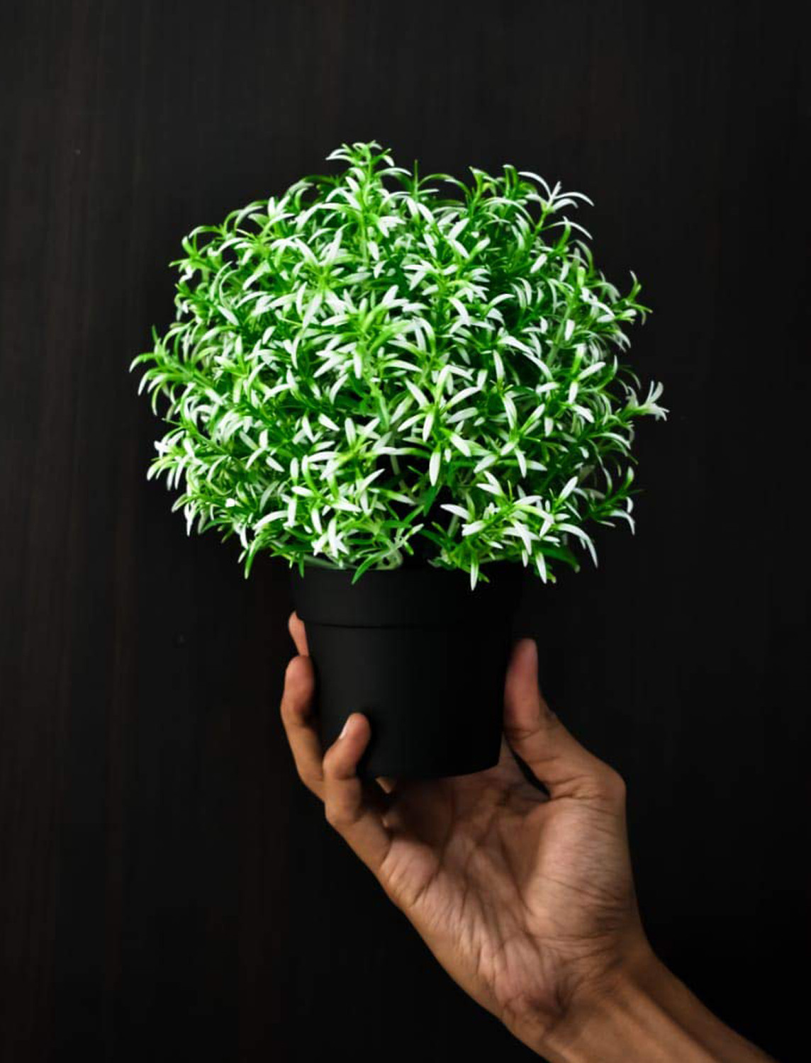 Kuber Industries Artificial Mini Potted Plants Plastic Faux Topiary Shrubs Fake Plants for Bathroom Home Office Desk Decorations With Pot (Green)-HS_38_KUBMART21463