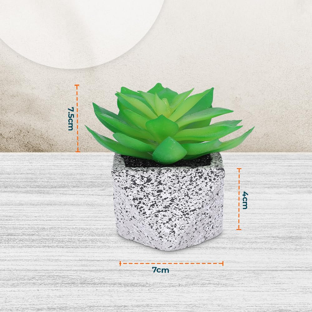 Kuber Industries Artificial Plants for Home DÃ©cor|Natural Looking Indoor Fake Plants with Pot|Artificial Flowers for Decoration (Green)