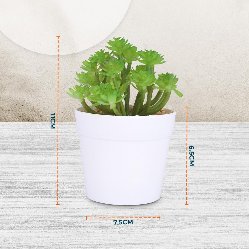 Kuber Industries Artificial Plants for Home DÃ©cor|Natural Looking Indoor Fake Plants with Pot|Artificial Flowers for Decoration (Green)