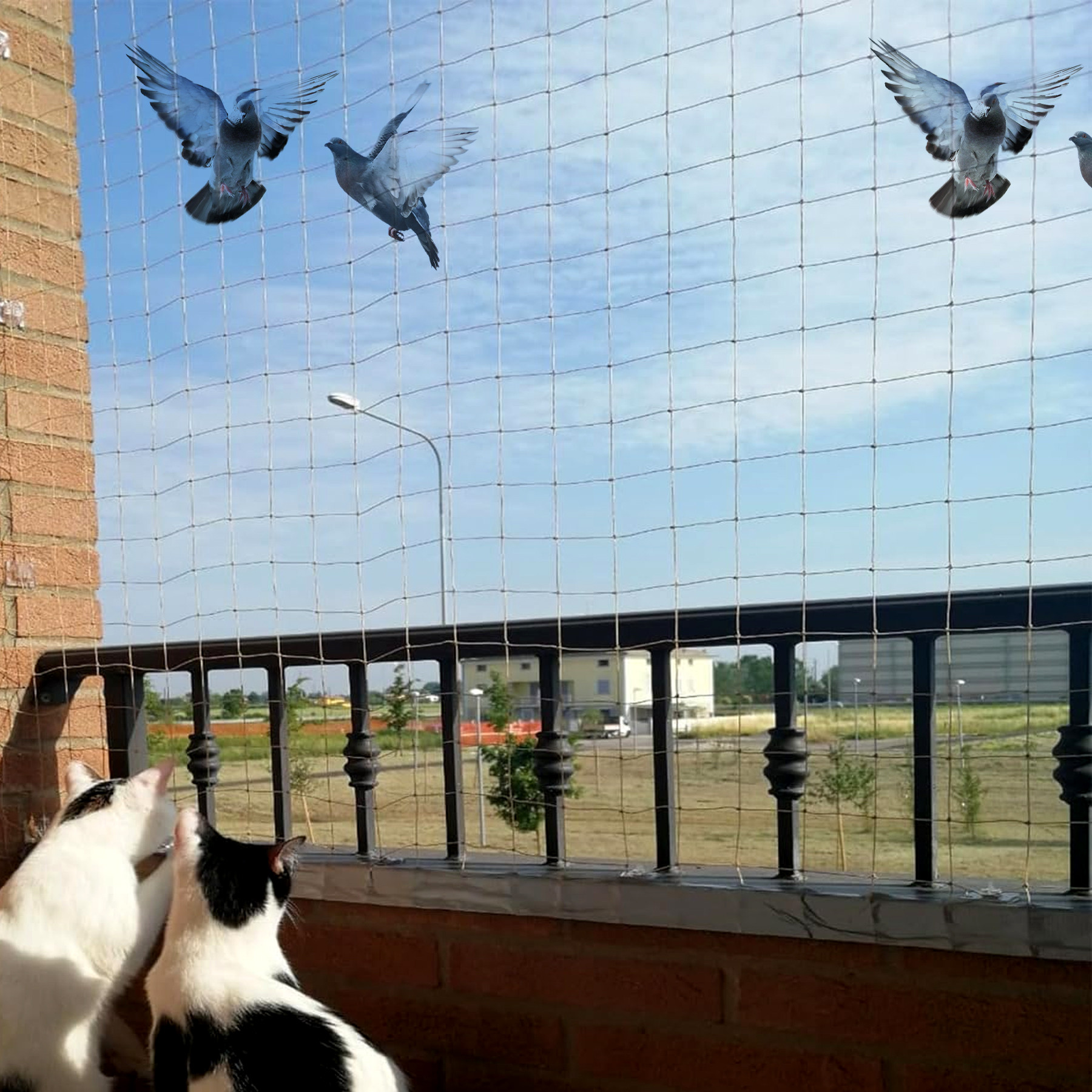 Kuber Industries Bird Net  Nylon Bird Control Net  Net For Balcony  Child Protection Net  Anti Bird Net   Net for Pigeon  Monkey Net  Net for Graden  6X10 Feet  White