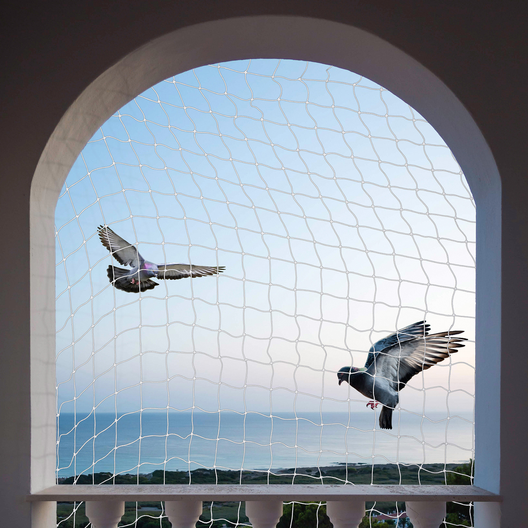 Kuber Industries Bird Net  Nylon Bird Control Net  Net For Balcony  Child Protection Net  Anti Bird Net   Net for Pigeon  Monkey Net  Net for Graden  6X10 Feet  White